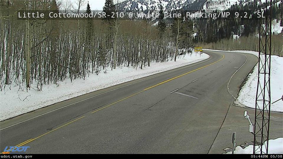 White Pine in Little Cottonwood Canyon traffic cam