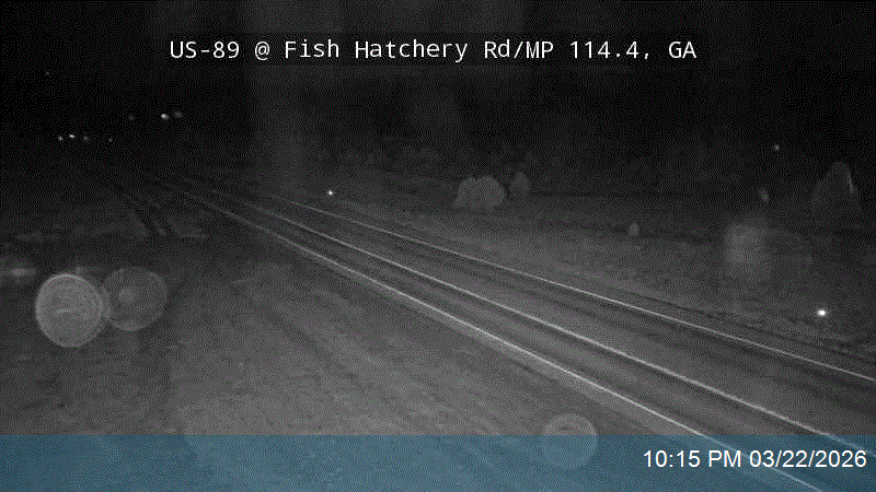 US-89 @ Fish Hatchery Rd / MP 114.4, GA live webcam