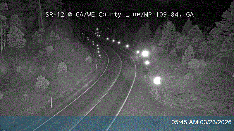 SR-12 @ GA/WE County Line / MP 109.84, GA live webcam