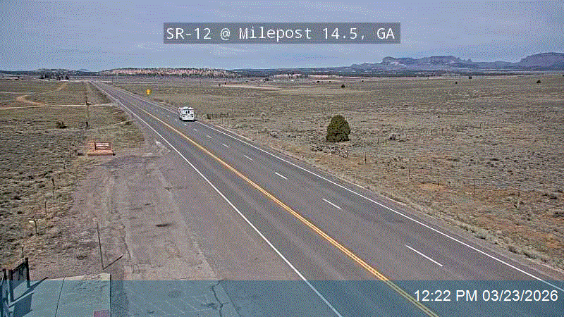 SR-12 @ Milepost 14.5, GA live webcam