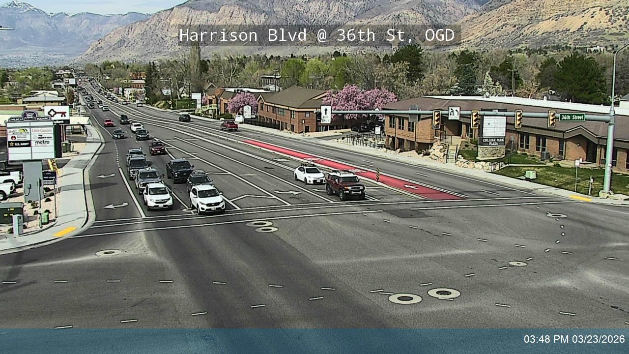 Harrison Blvd / Wildcat Way / SR-203 @ 36th St, OGD live webcam